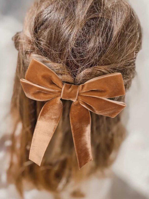 Brown Velvet Bow Hair Clip