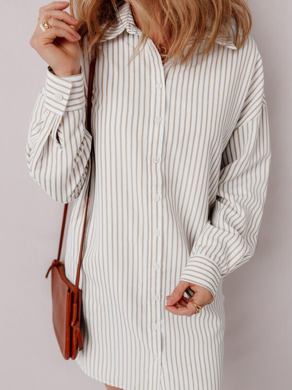 Striped Button Up Mini Shirt Dress