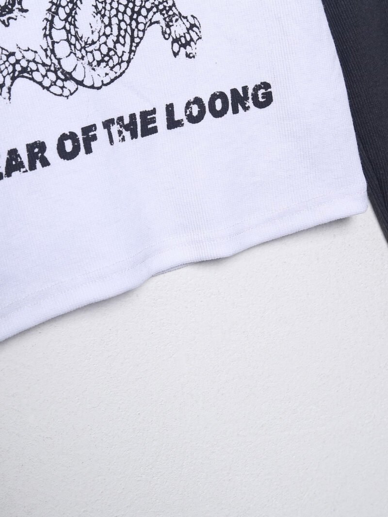 Year of The Loong - Image 4