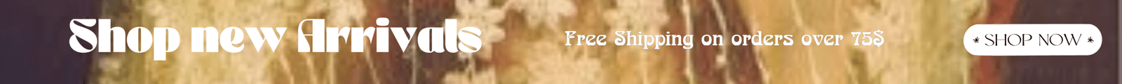 Free Shipping on orders 50$