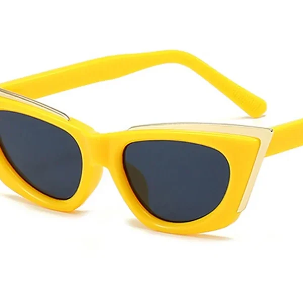 New Cat Eye Sunglasses